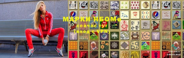 прущие грибы Алзамай