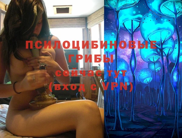 кокс Алексин