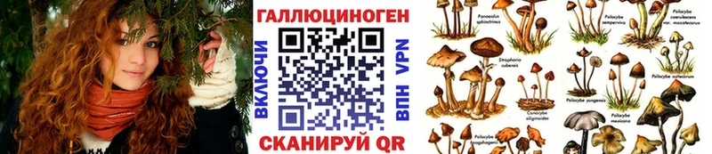 Галлюциногенные грибы Magic Shrooms  Байкальск 
